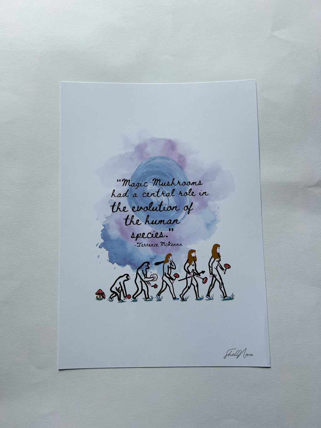Evolution of the Human Species - Terrence McKenna Quote - A4 Print