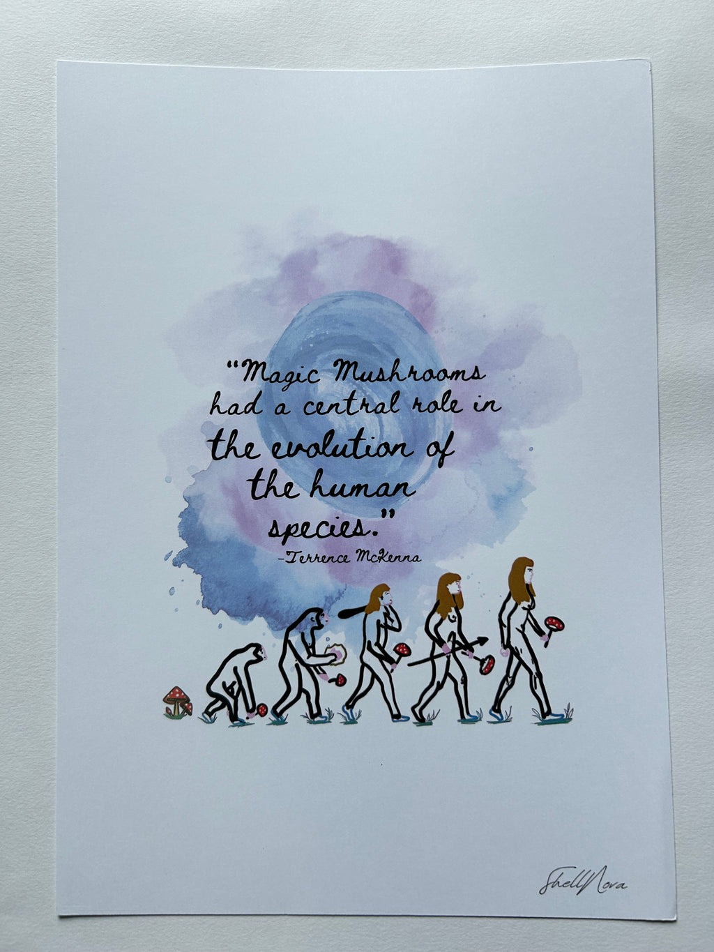 Evolution of the Human Species - Terrence McKenna Quote - A4 Print