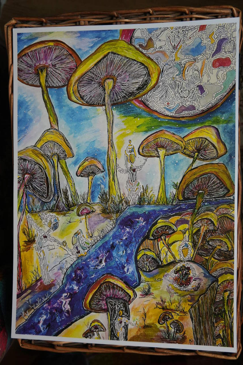 Magic Mushrooms - Portal of Possibility - A3 Print