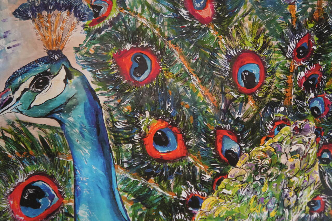 Peacock - Beauty in Being Seen - A3 Print