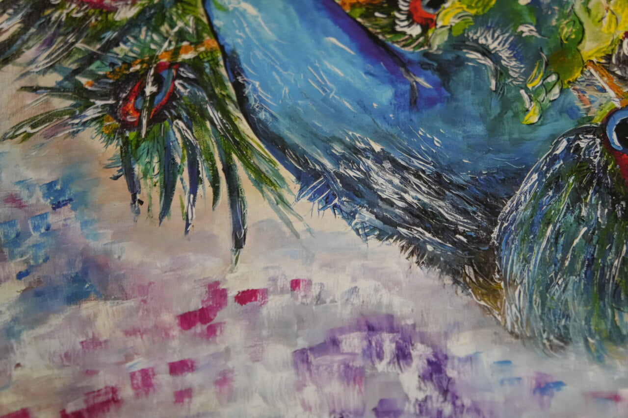 Peacock - Beauty in Being Seen - A3 Print