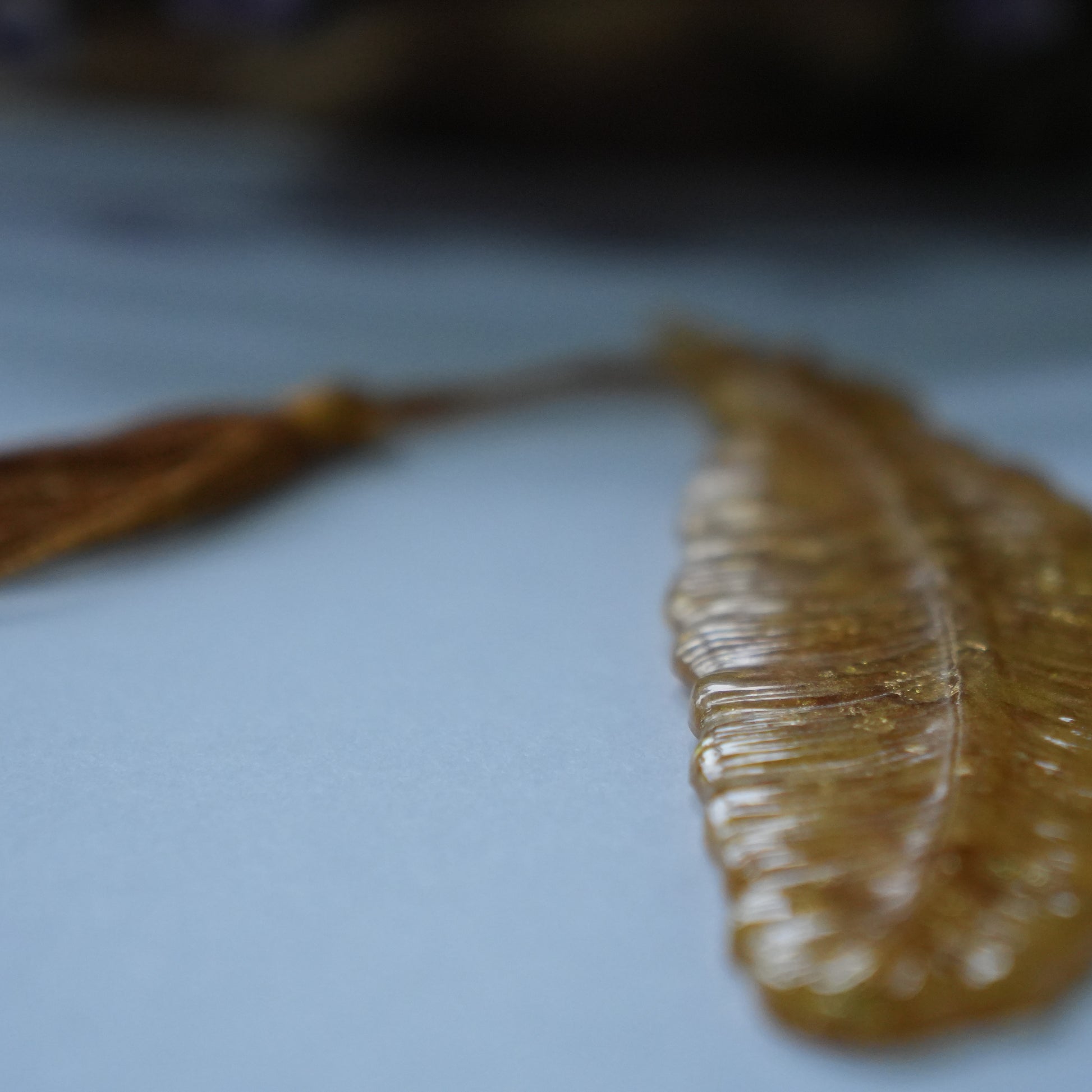 Golden Feathered bookmark