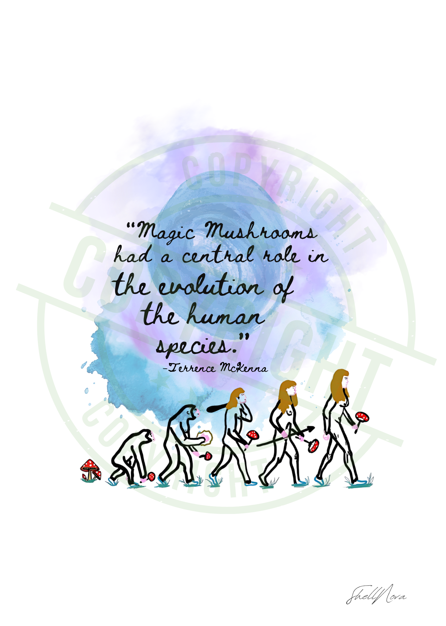 Evolution of the Human Species - Terrence McKenna Quote - A4 Print